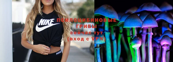 jwh Касимов